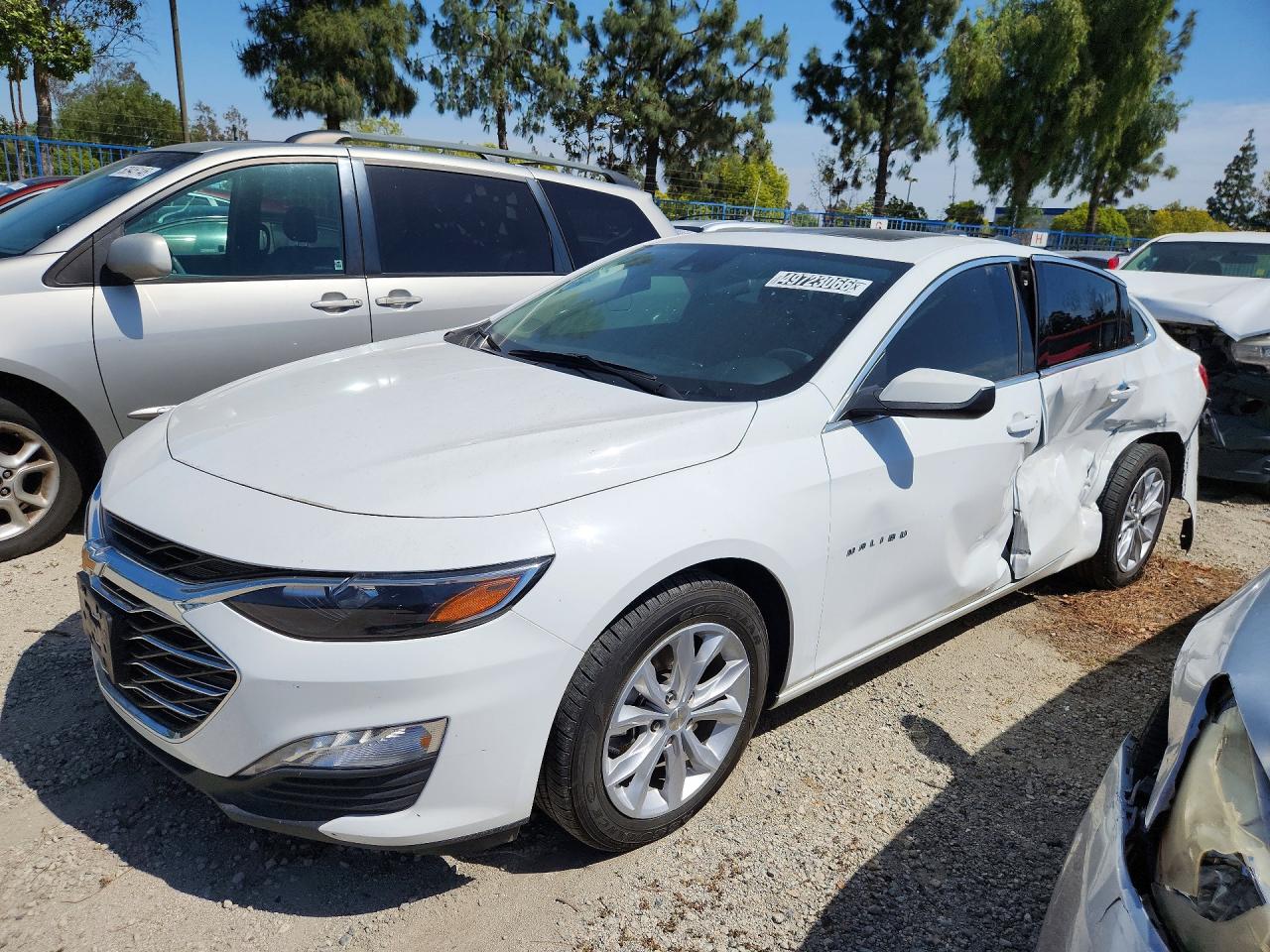 CHEVROLET MALIBU 2024