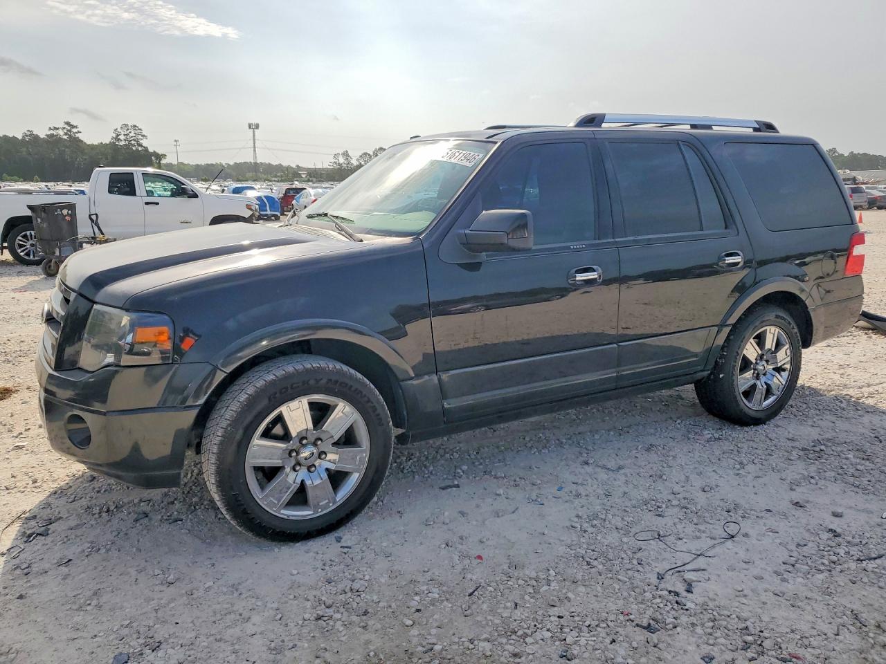 FORD EXPEDITION 2010