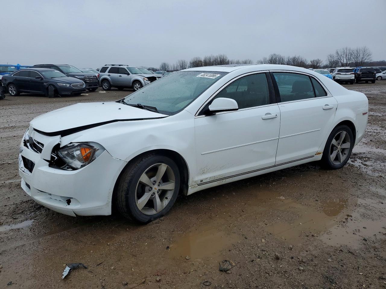CHEVROLET MALIBU 2009
