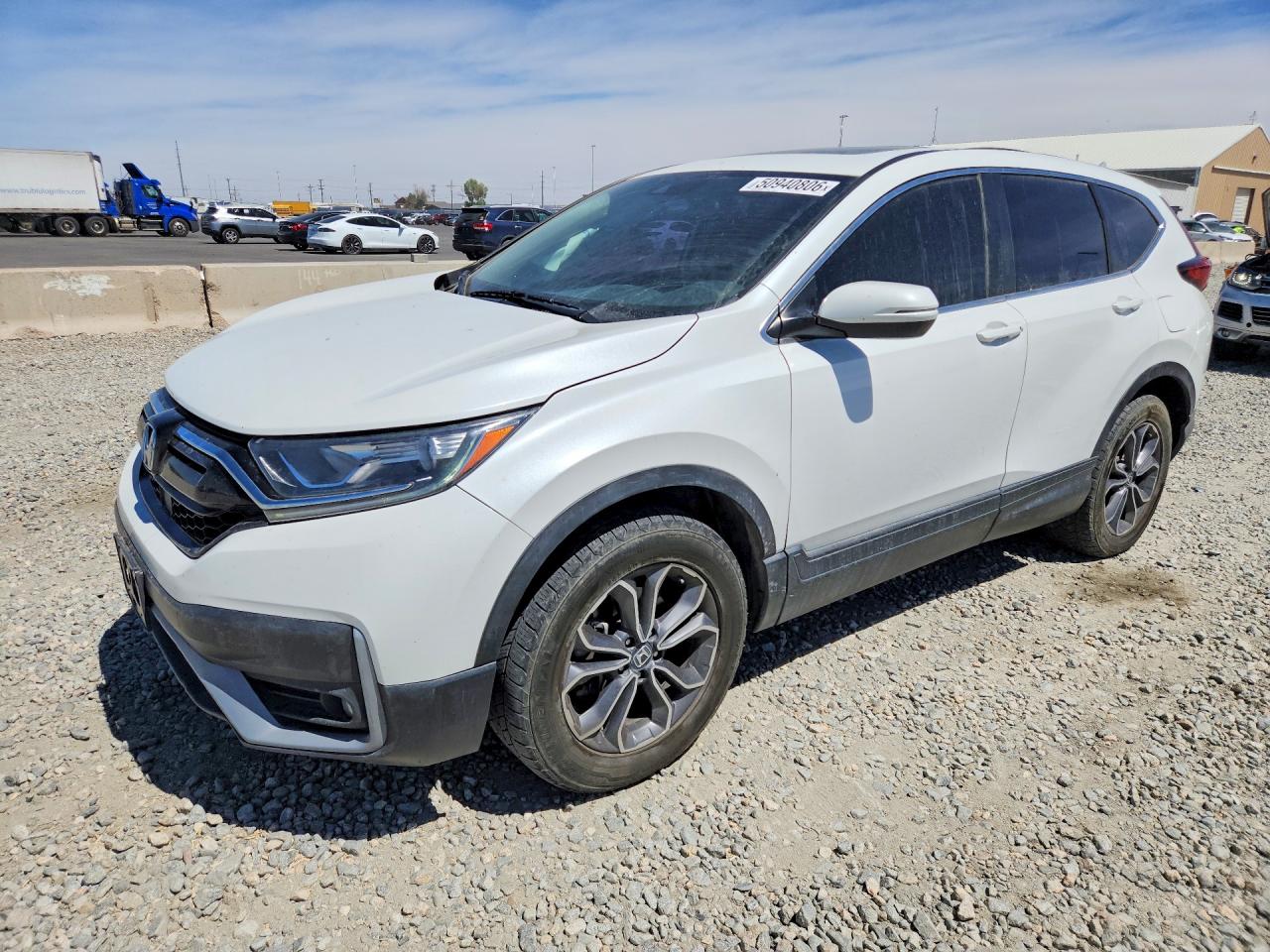 HONDA CR-V 2021
