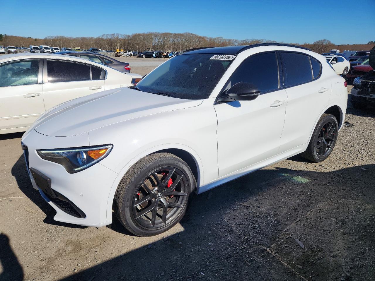 ALFA ROMEO STELVIO 2021