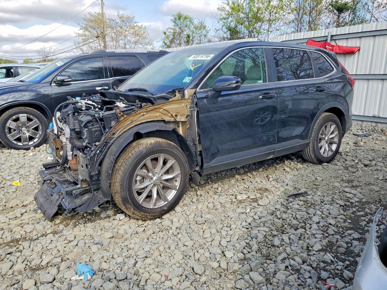 HONDA CR-V 2023
