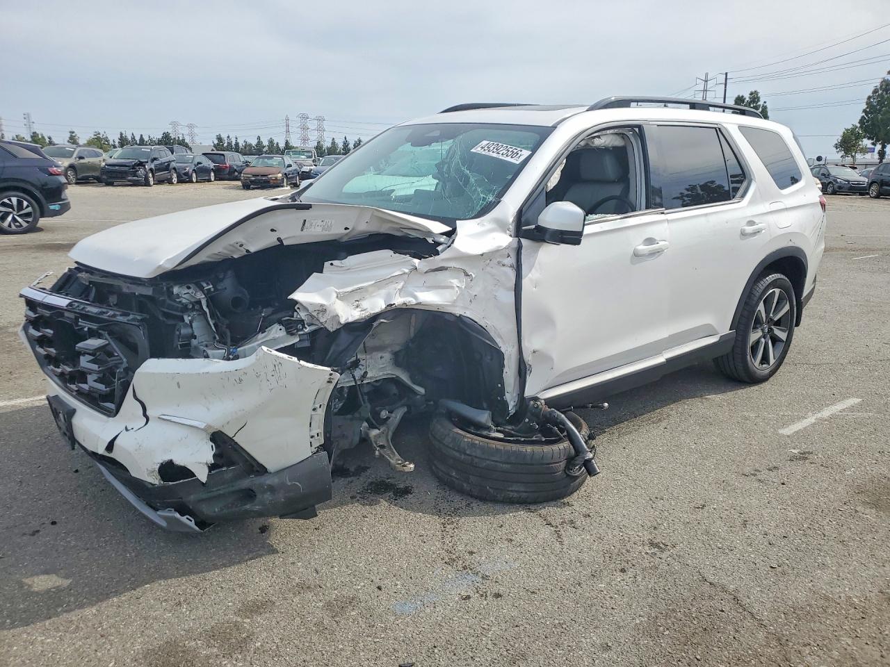 HONDA PILOT 2024