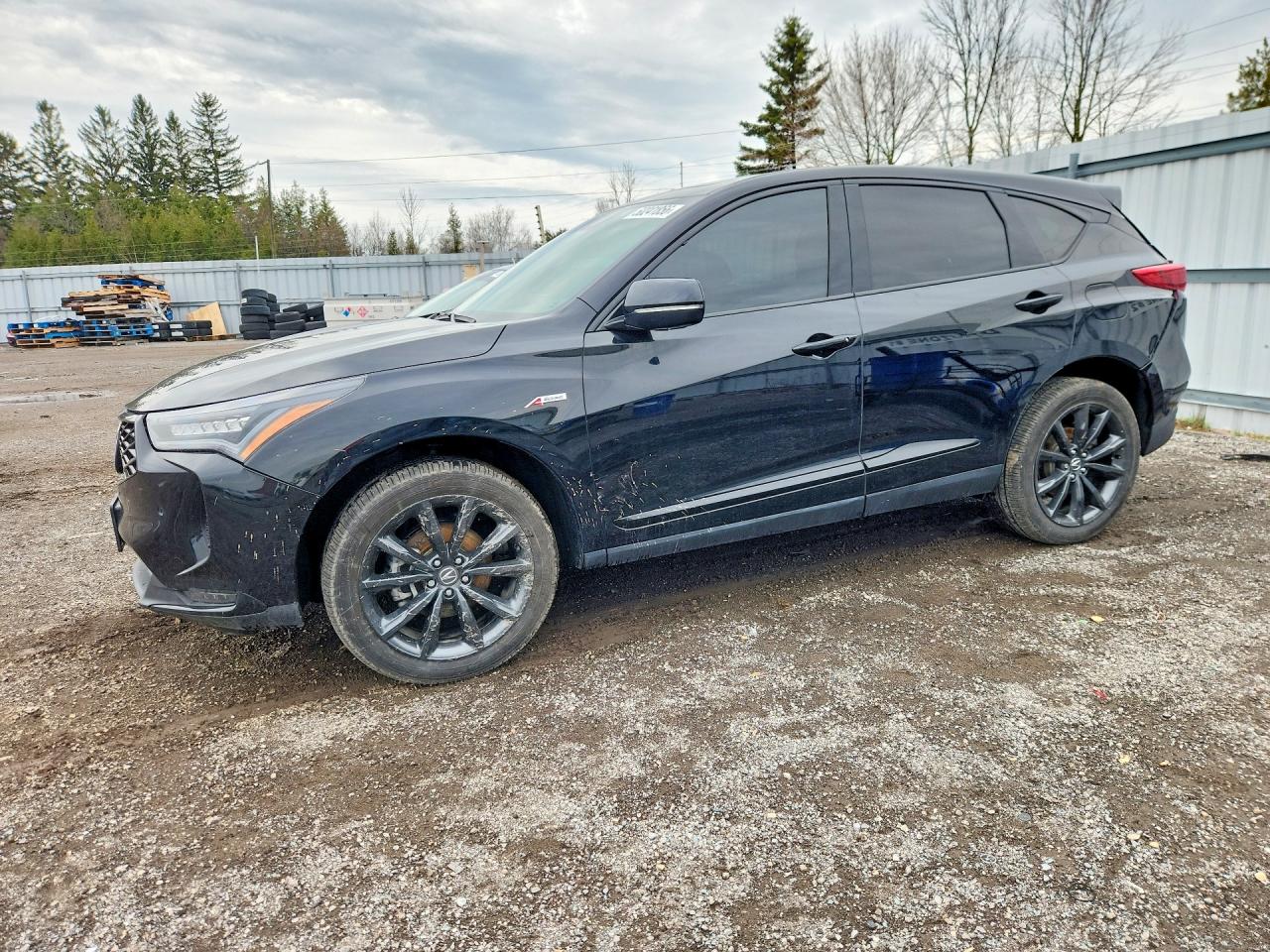 ACURA RDX 2025