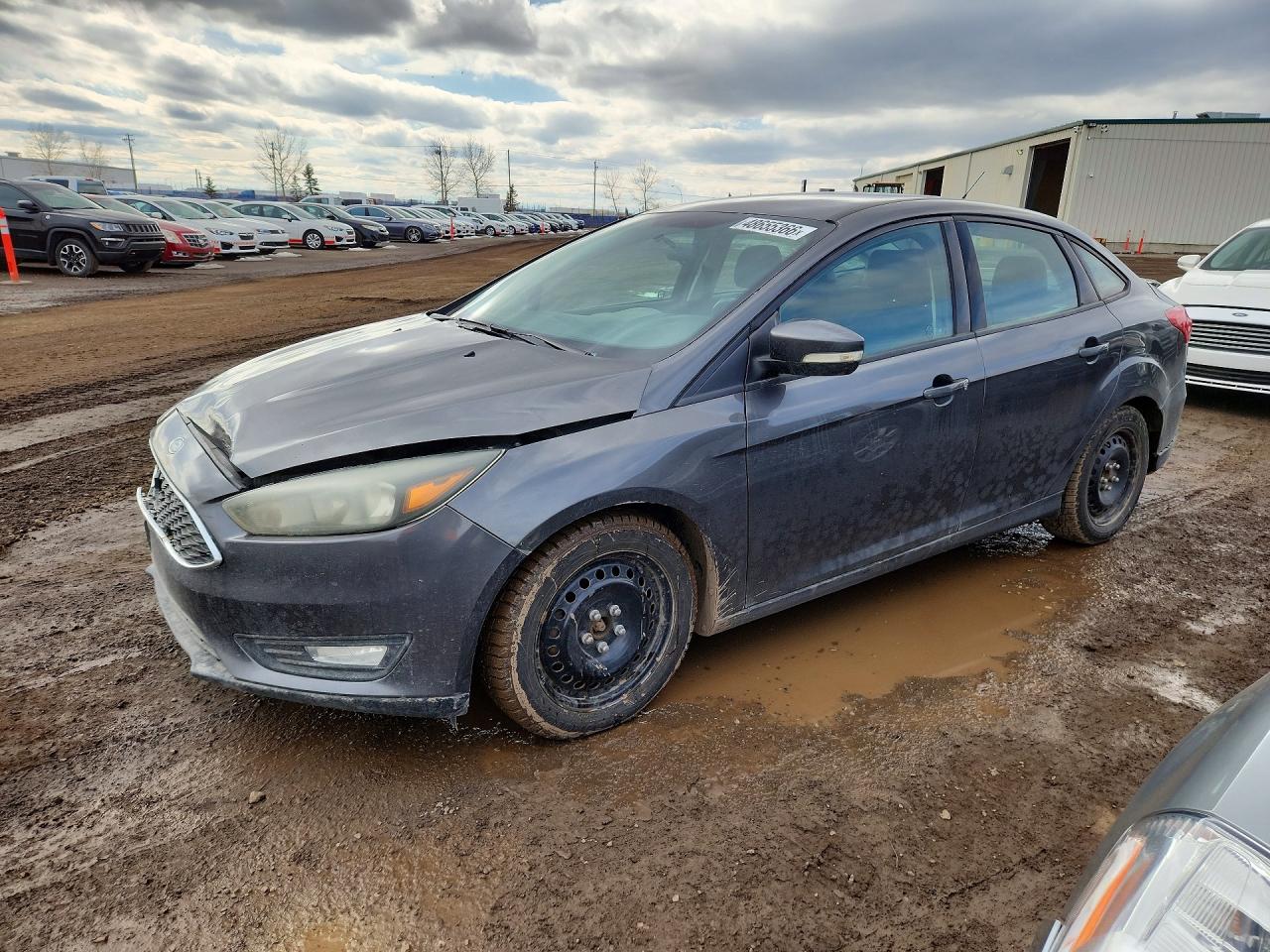 FORD FOCUS 2015