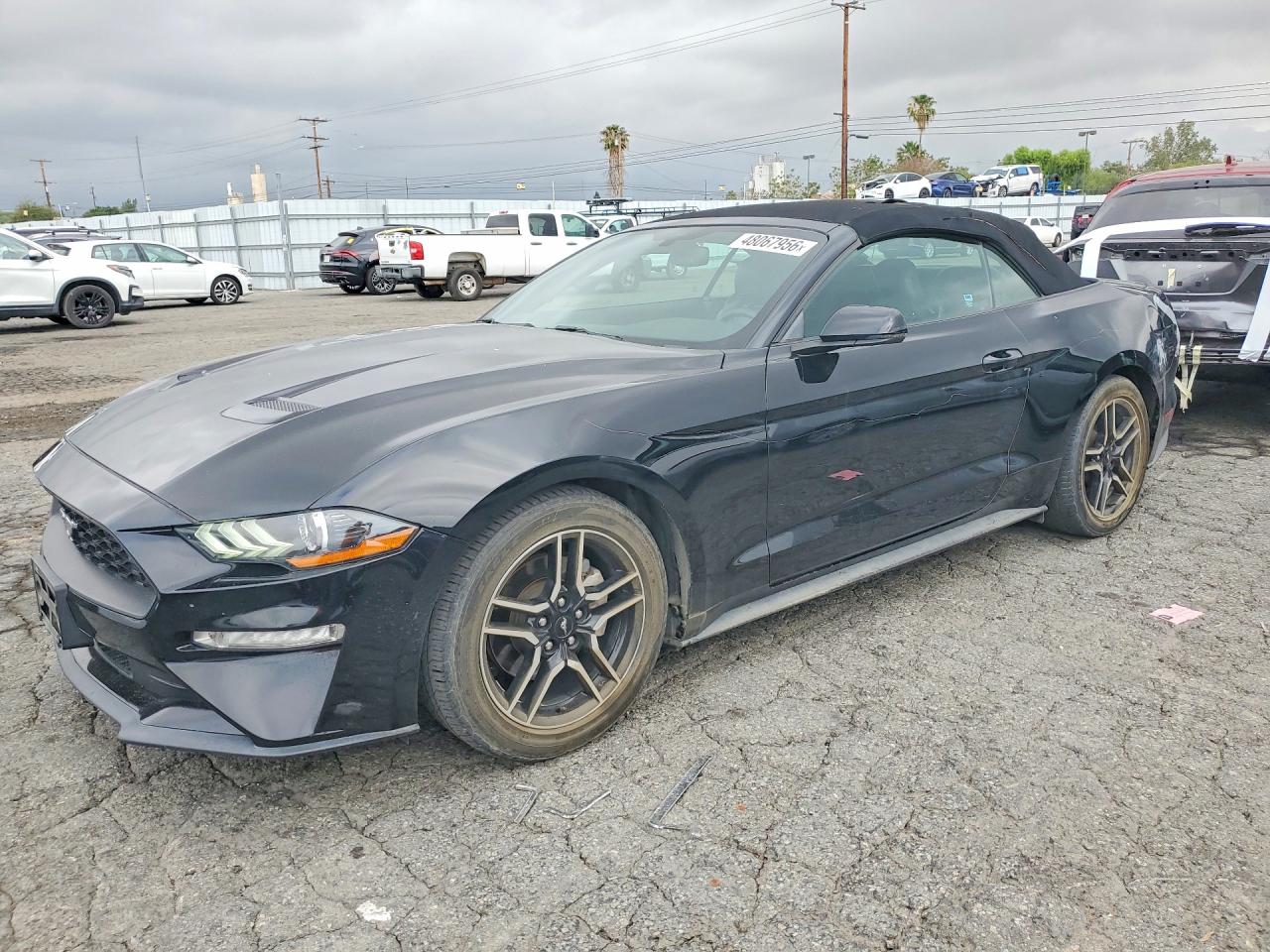 FORD MUSTANG 2019
