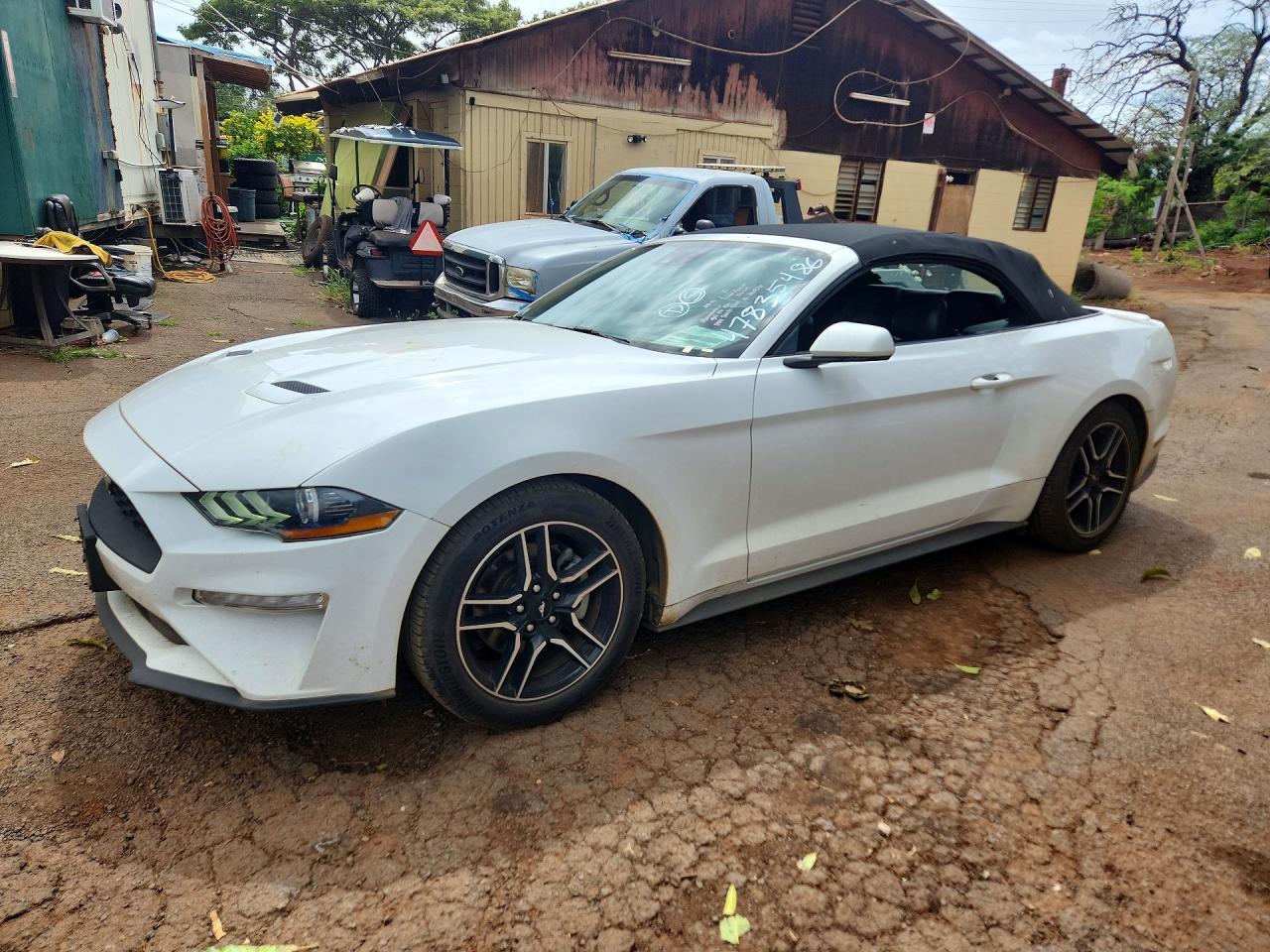 FORD MUSTANG 2023