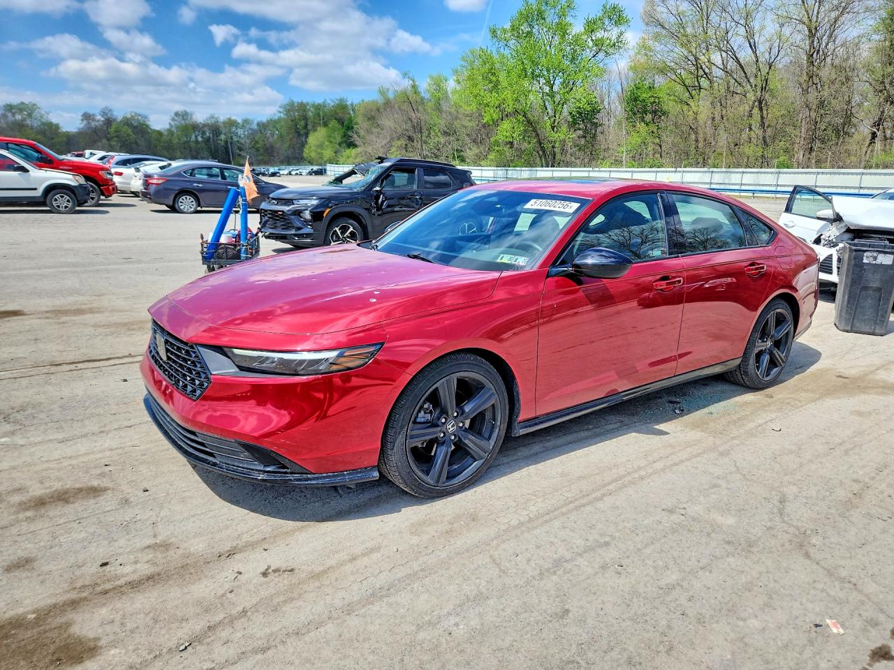 HONDA ACCORD 2023