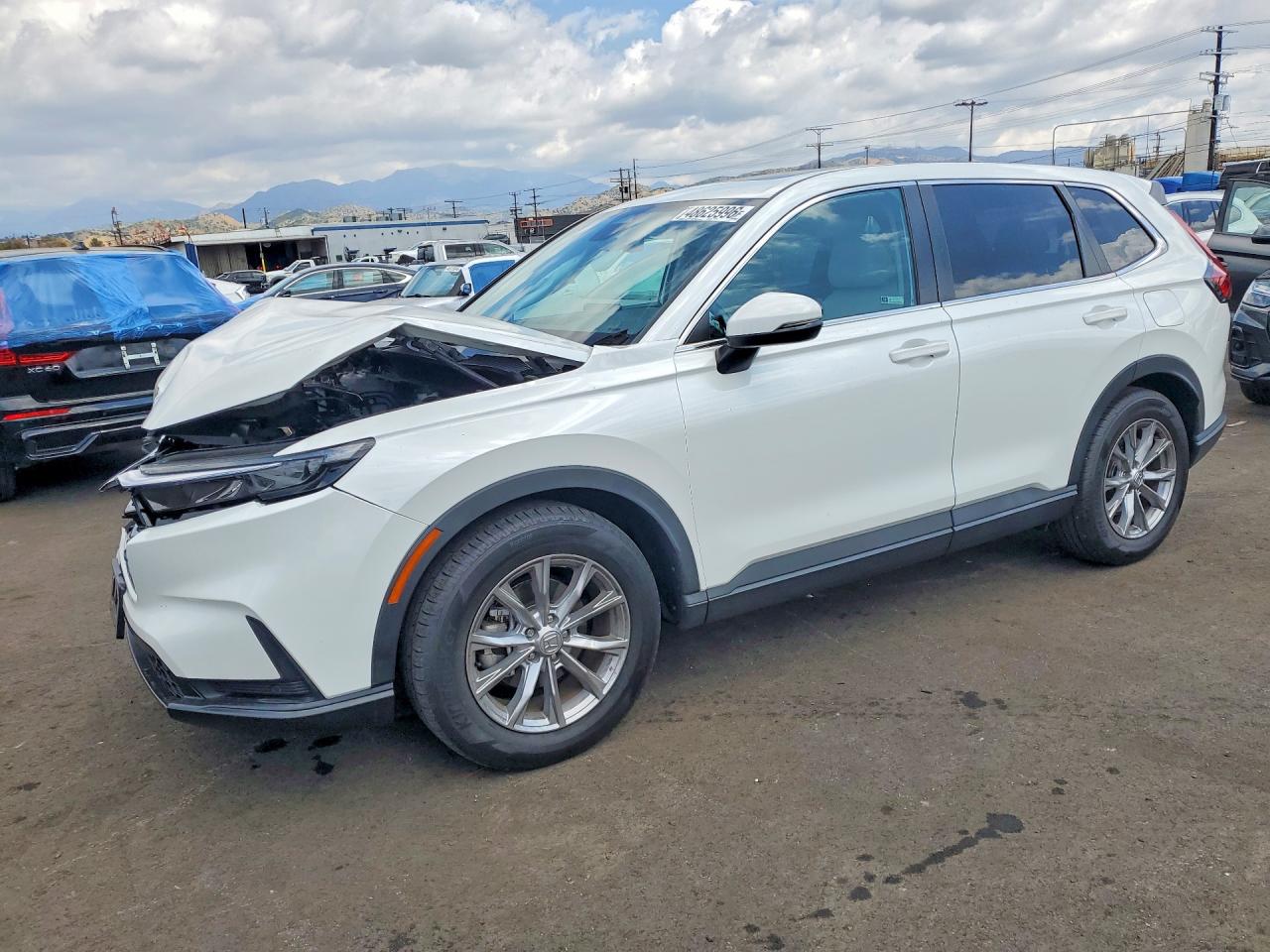 HONDA CR-V 2023