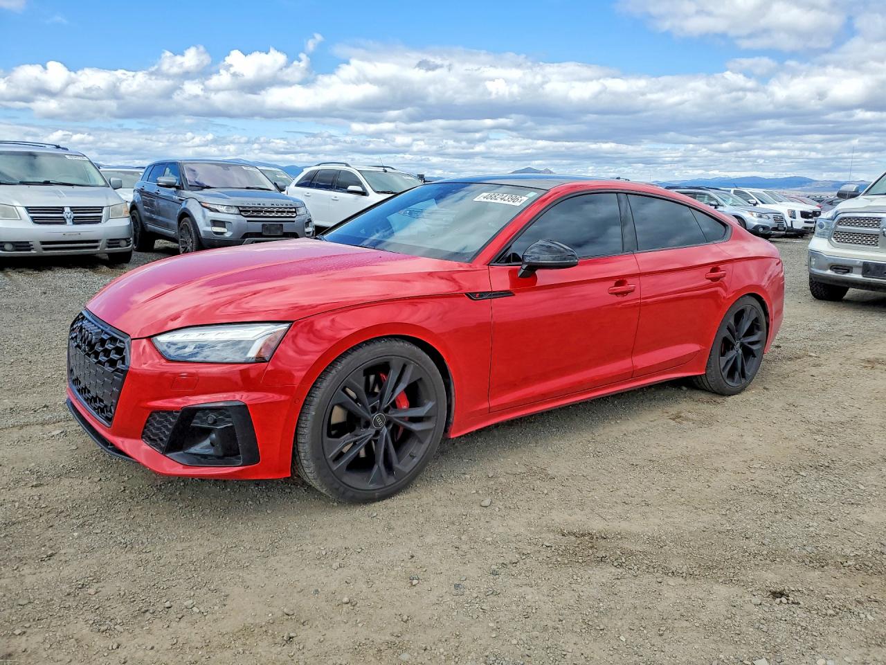 AUDI S5 2024