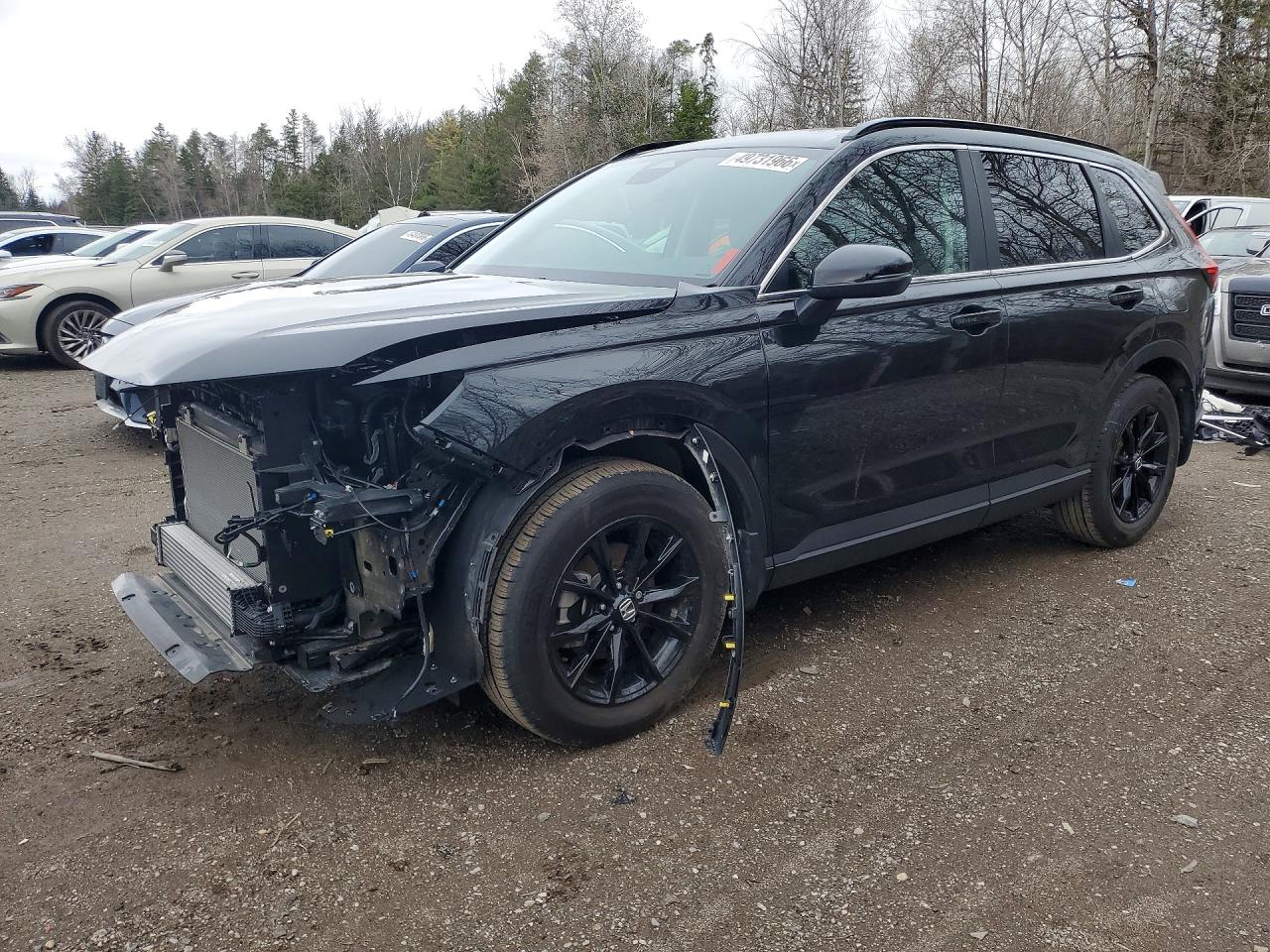 HONDA CR-V 2025