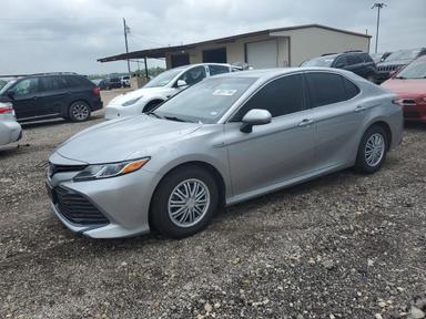 Toyota Camry Le 2019