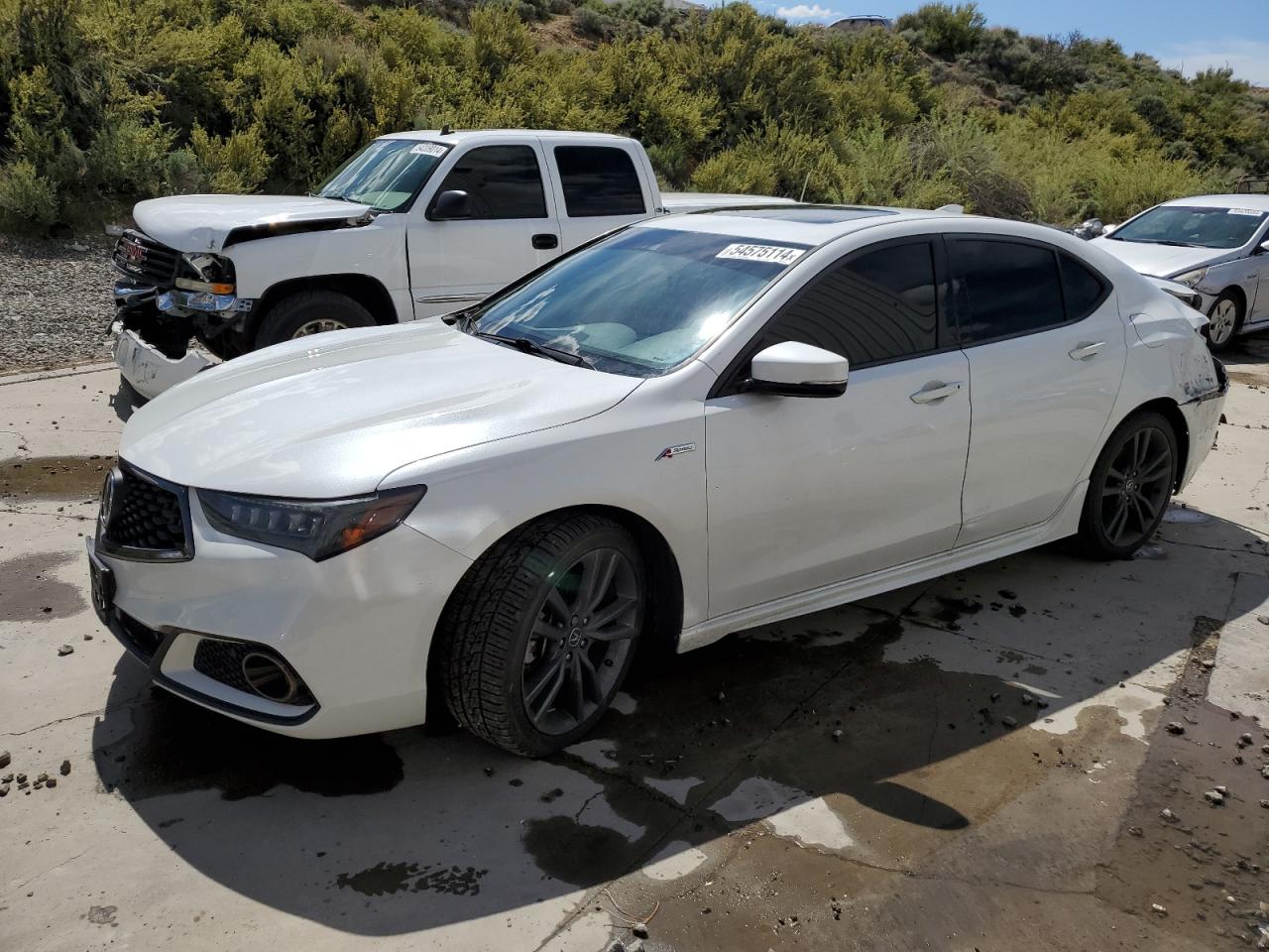 ACURA TLX TECHNO 2019