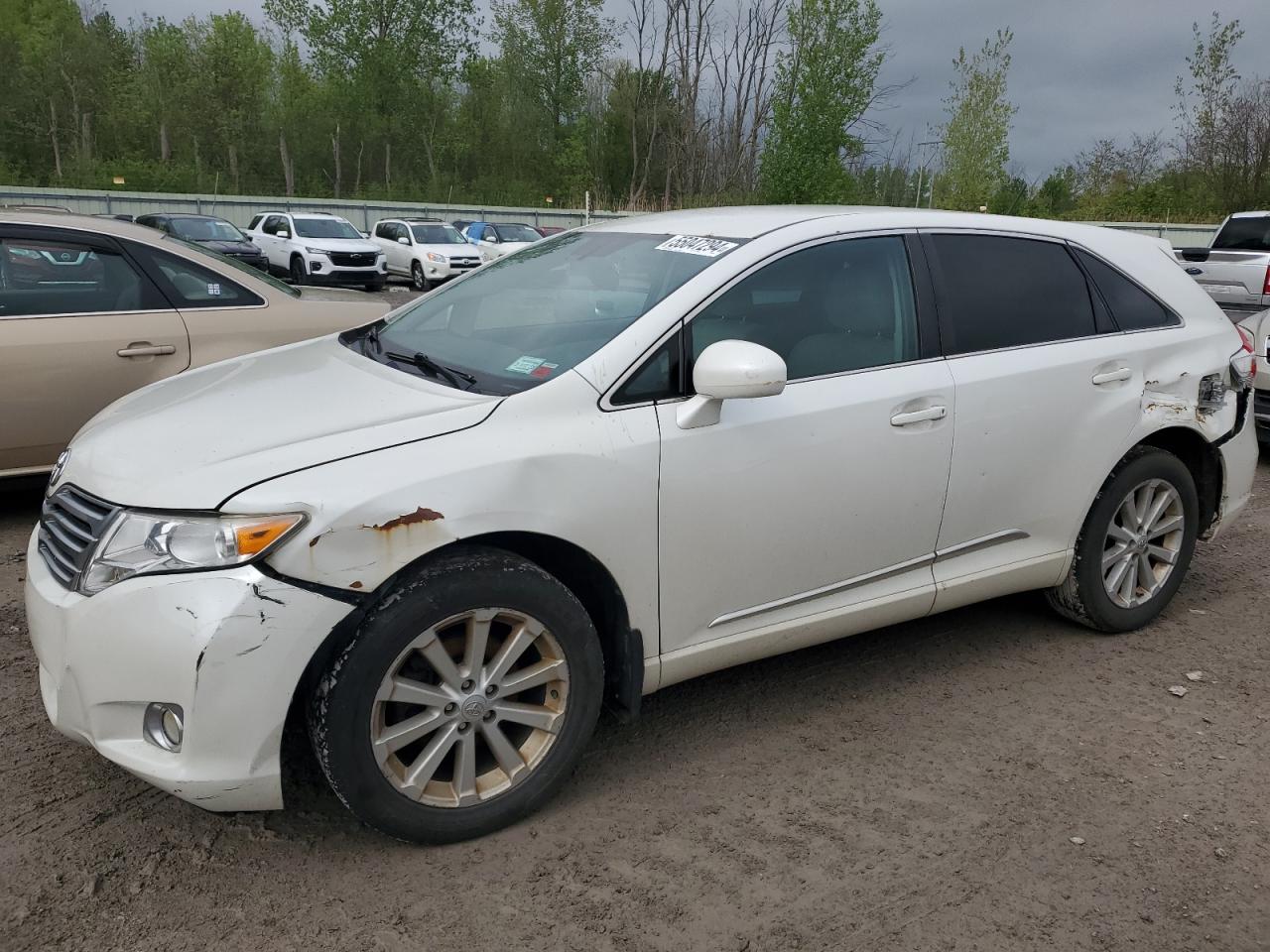 TOYOTA VENZA 2011