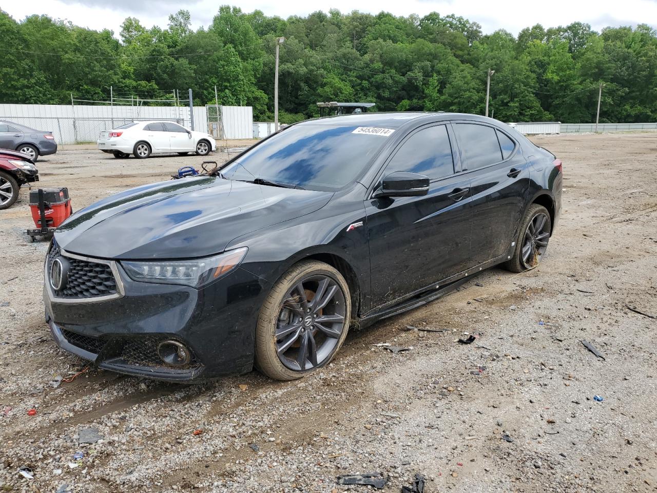 ACURA TLX TECHNO 2019