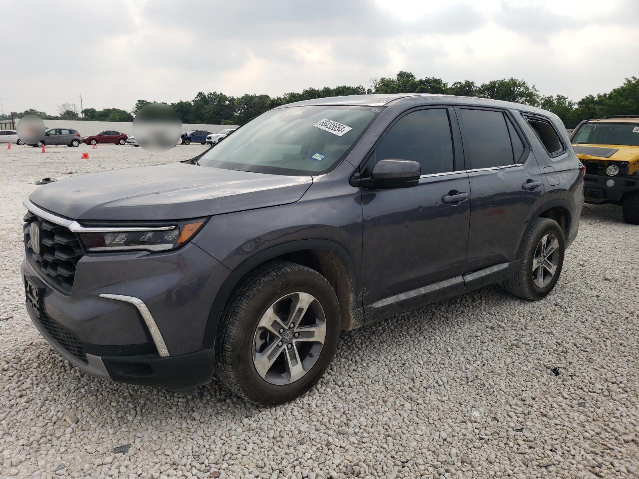 HONDA PILOT EXL 2024