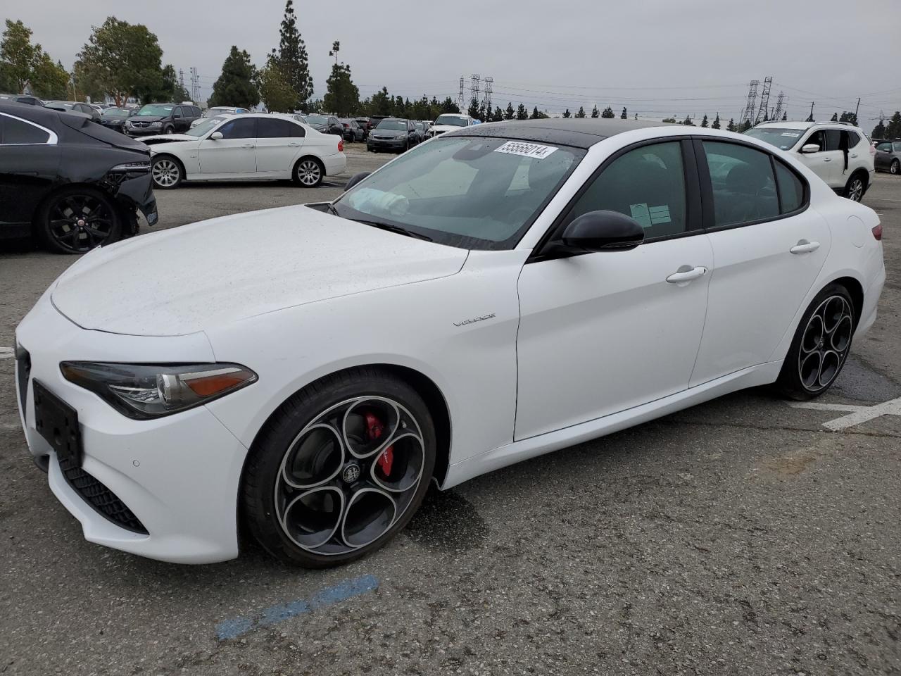 ALFA ROMEO GIULIA SUP 2022