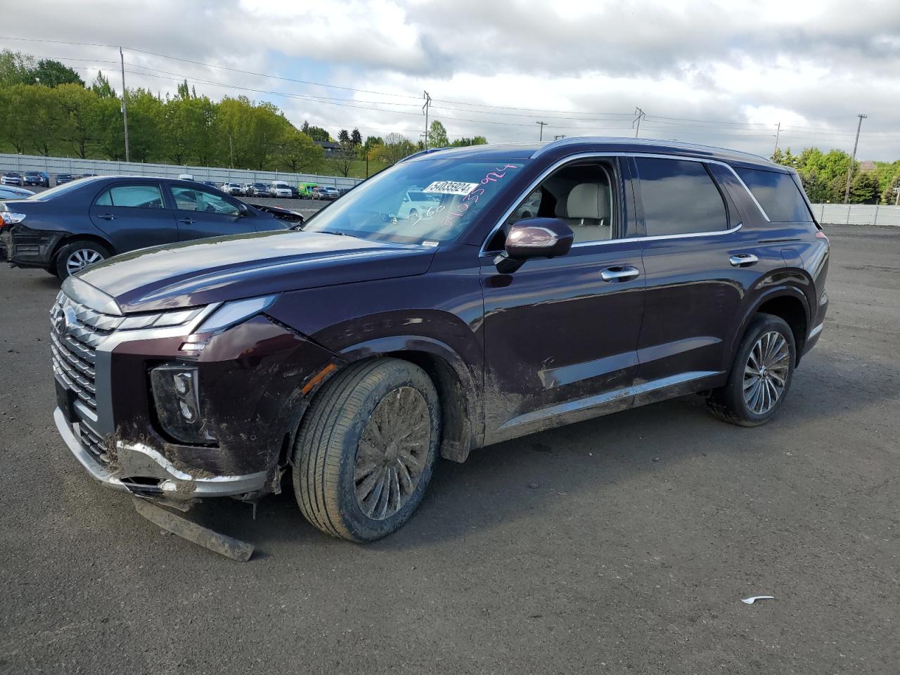 HYUNDAI PALISADE C 2023