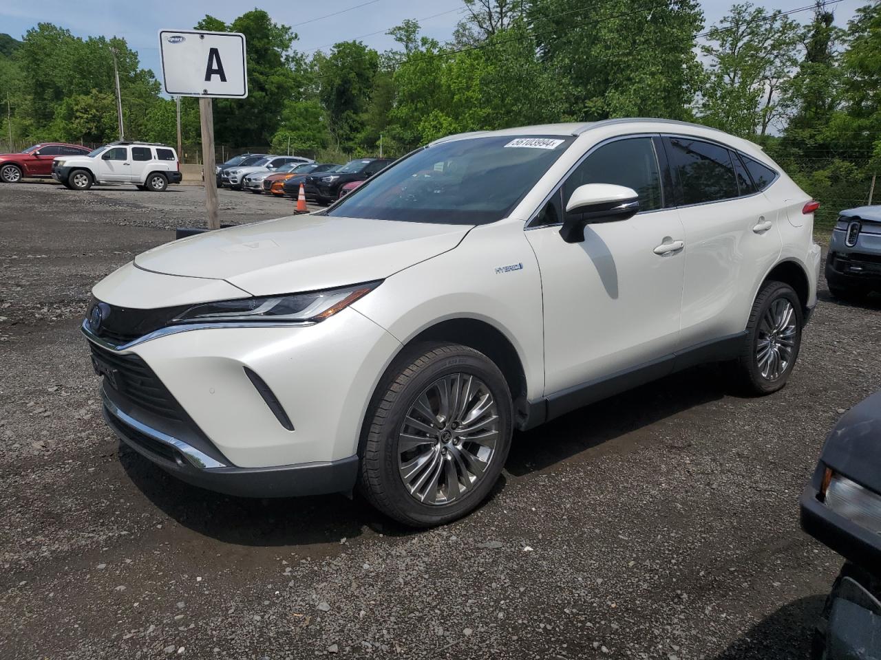 TOYOTA VENZA LE 2021