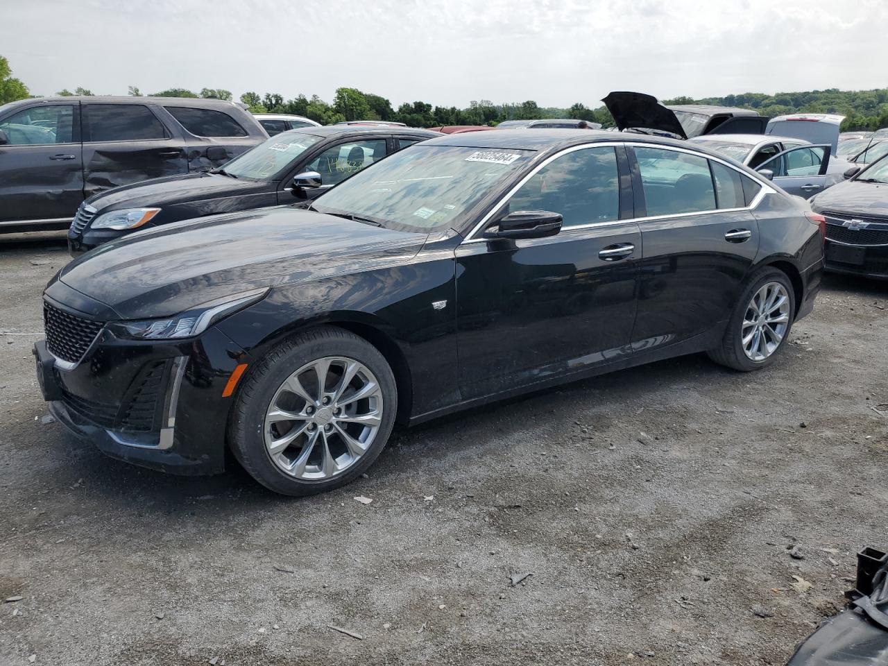 CADILLAC CT5 2022
