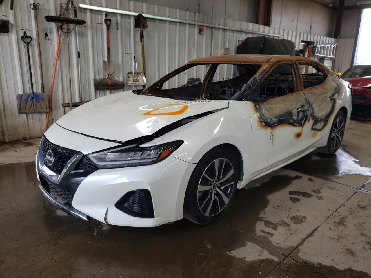 NISSAN MAXIMA 2023