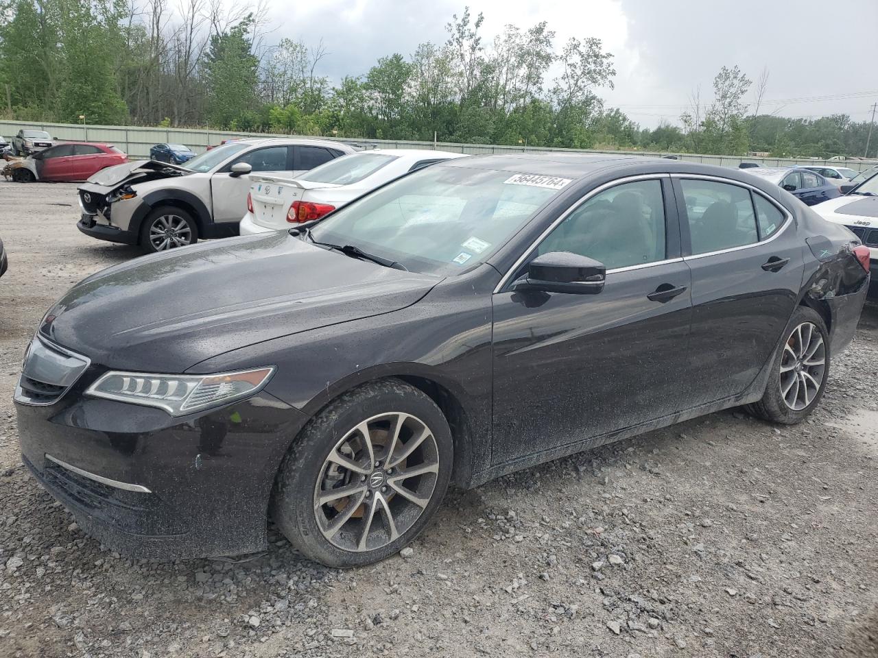 ACURA TLX TECH 2015