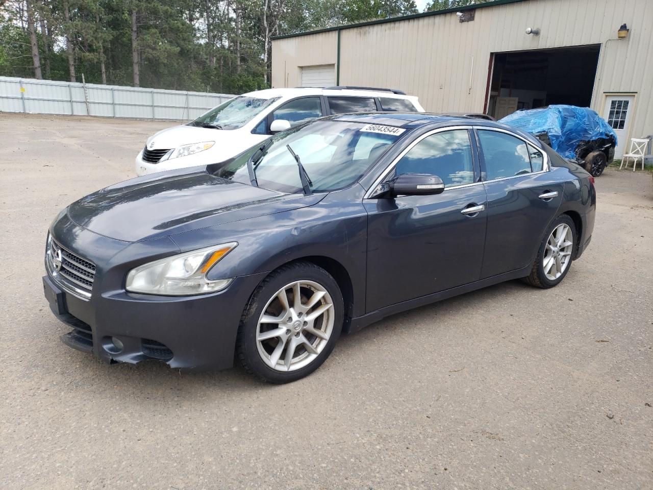 NISSAN MAXIMA S 2011