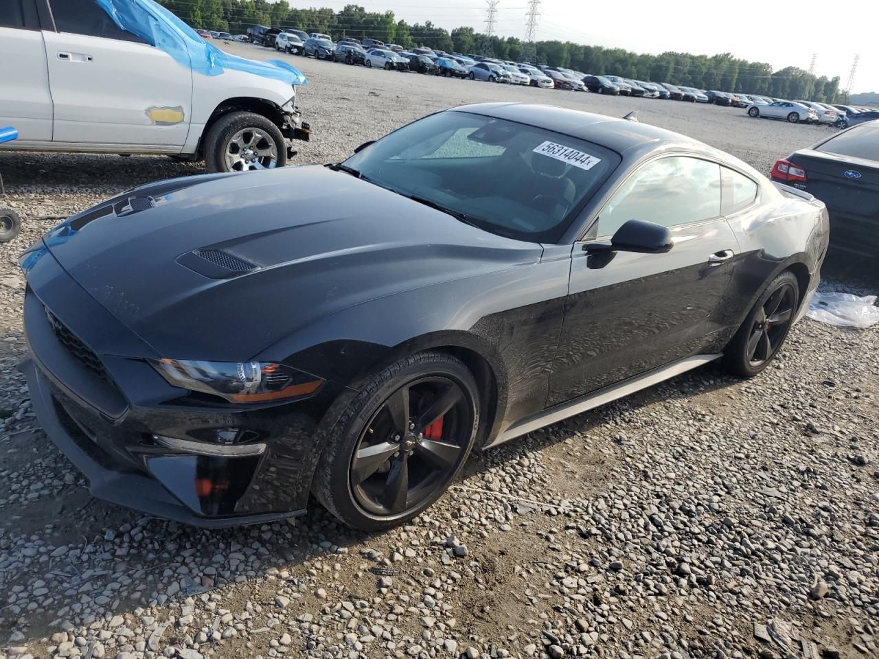 FORD MUSTANG 2023