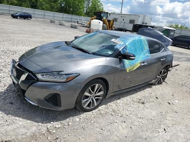 Nissan Maxima 2019