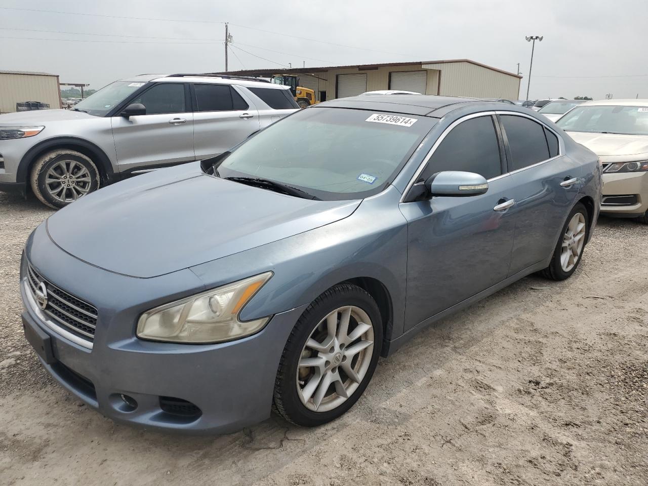 NISSAN MAXIMA S 2010