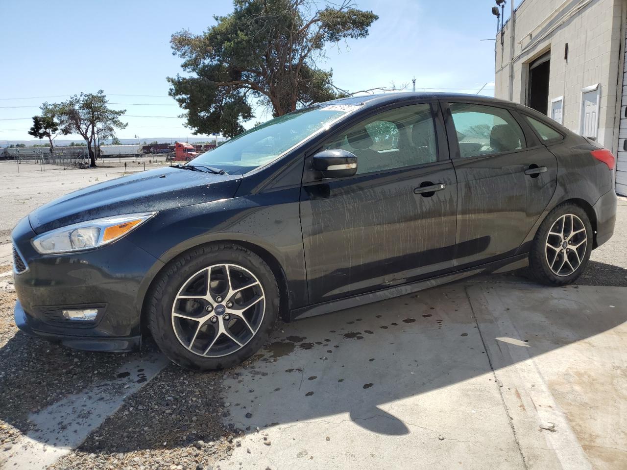 FORD FOCUS SE 2015