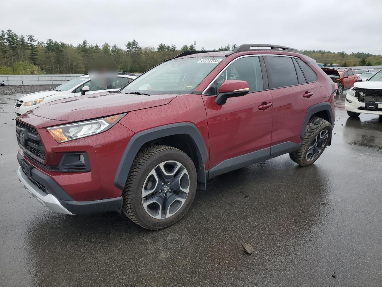 TOYOTA RAV4 ADVEN 2019