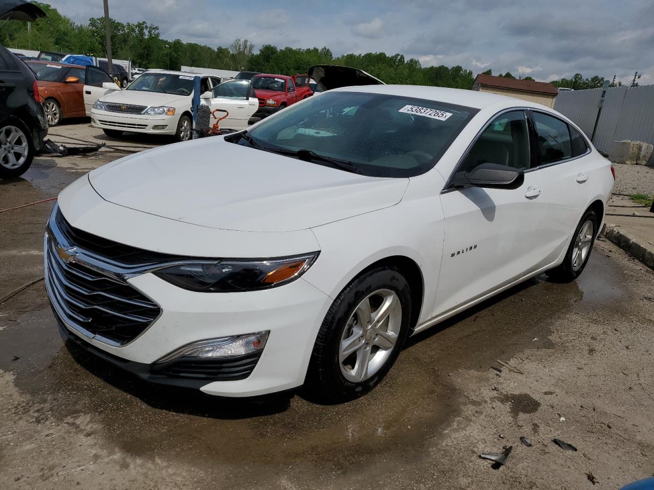 CHEVROLET MALIBU LS 2020