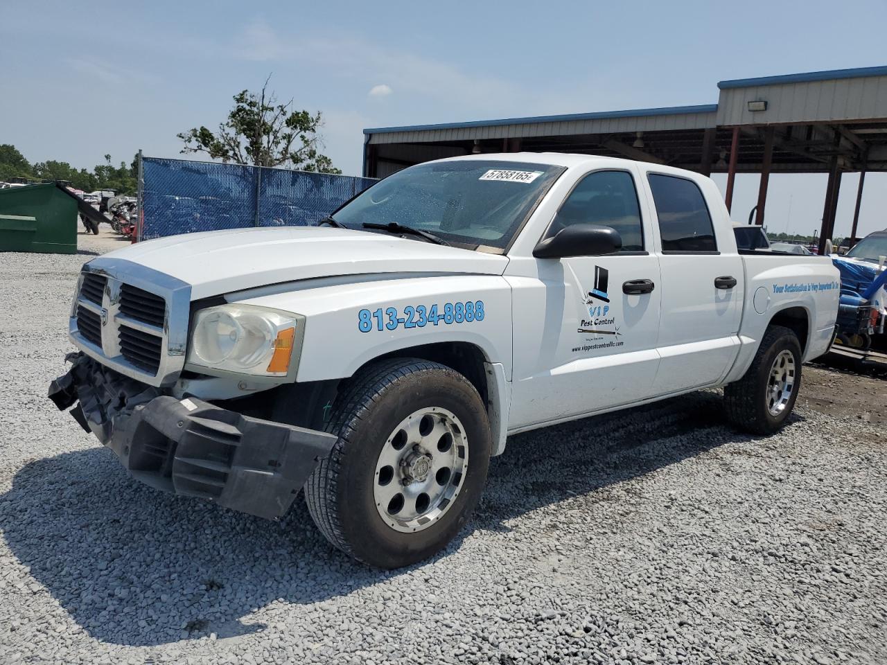 DODGE DAKOTA QUA 2006