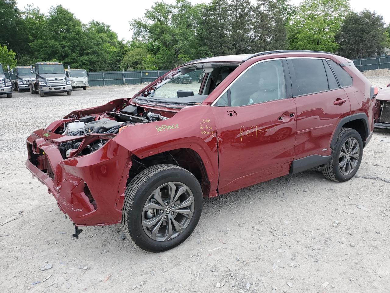TOYOTA RAV4 XLE P 2024