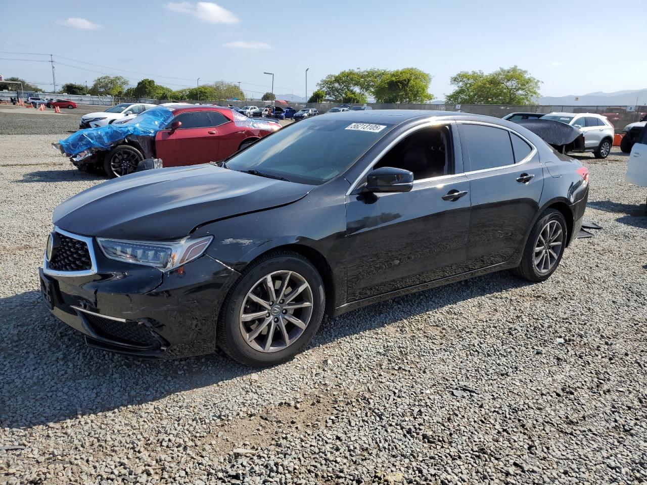 ACURA TLX TECHNO 2020