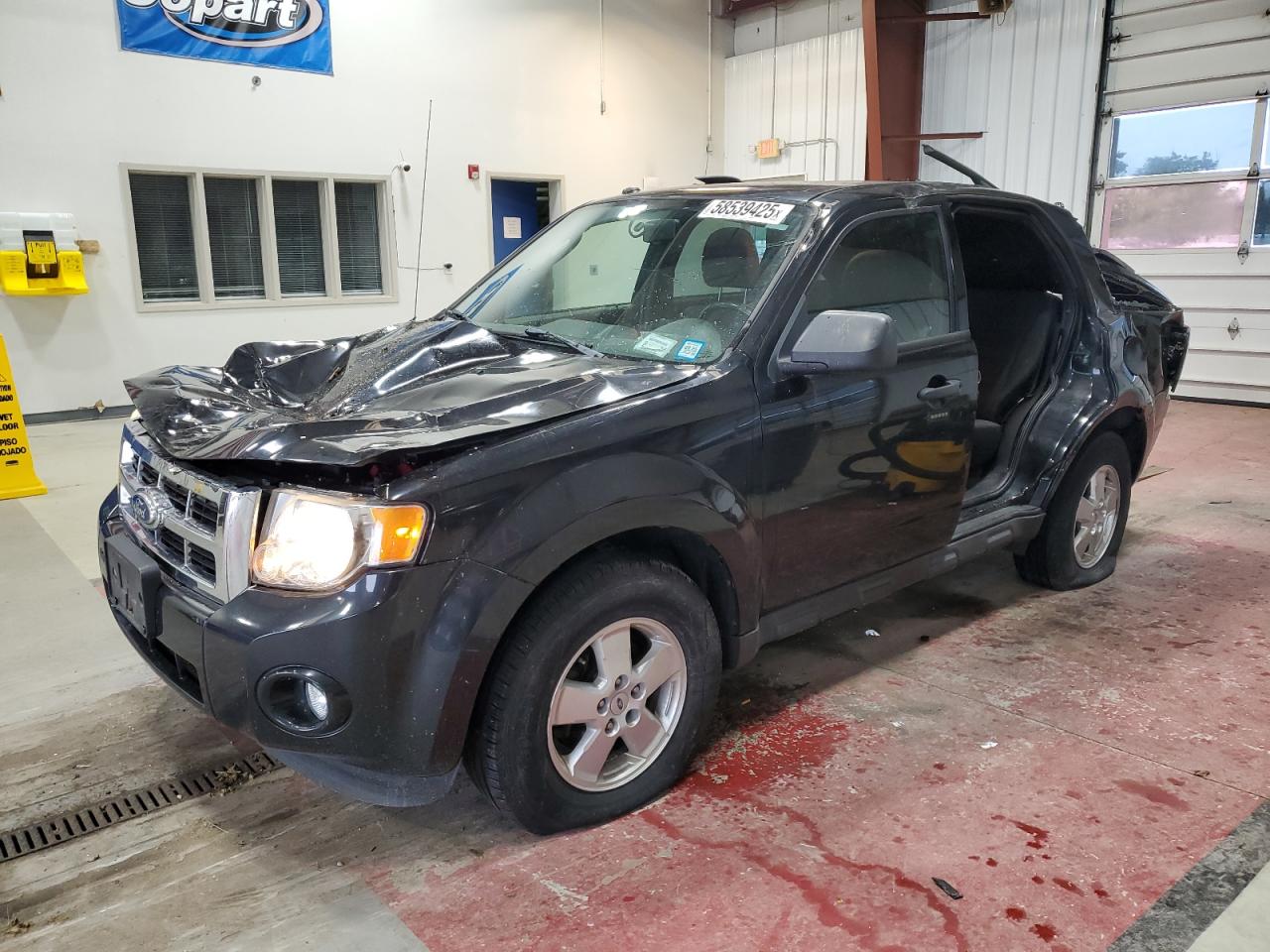 FORD ESCAPE XLT 2011