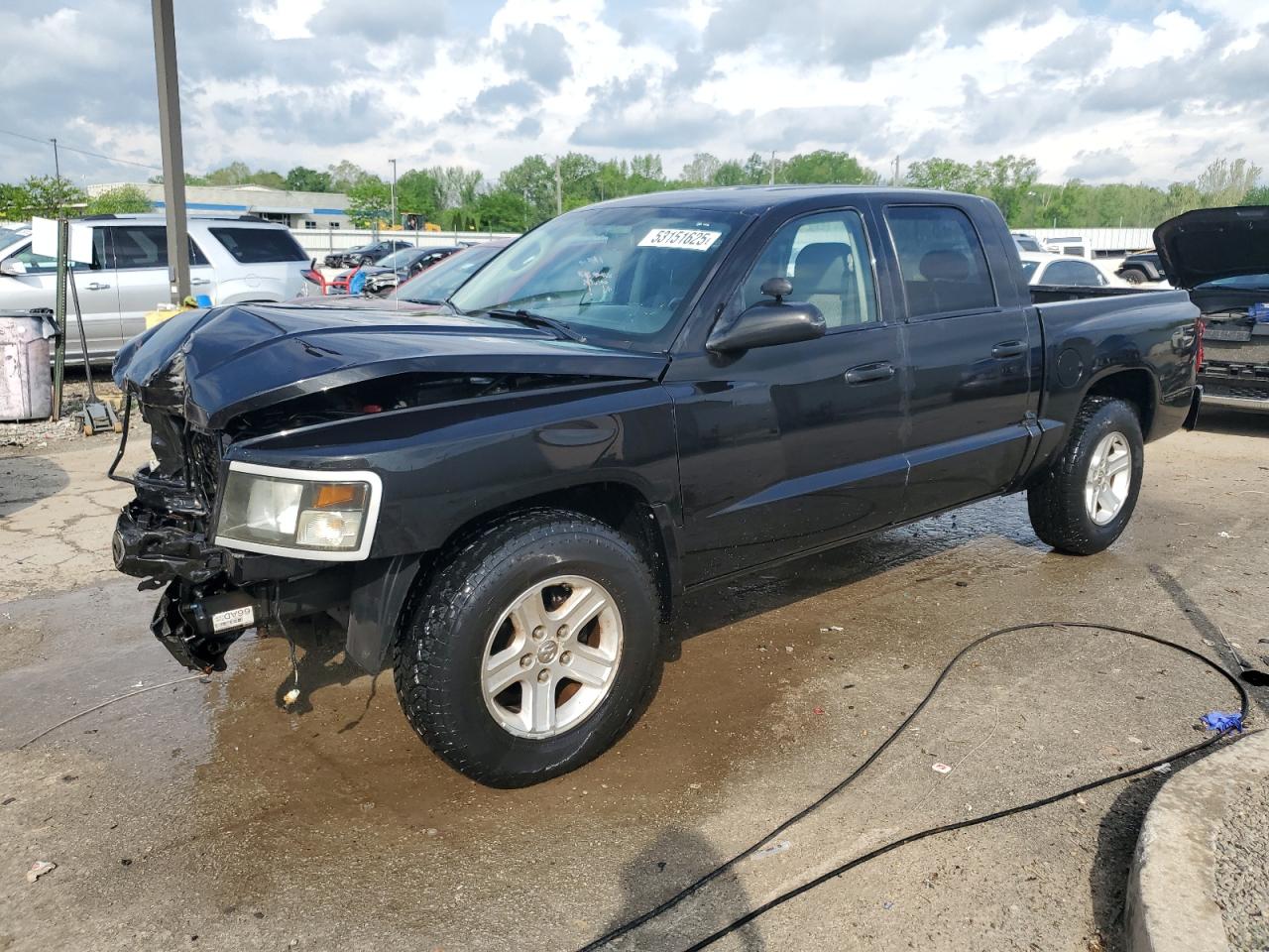DODGE DAKOTA 2011