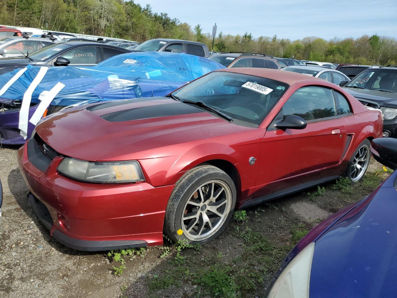 FORD MUSTANG 2004