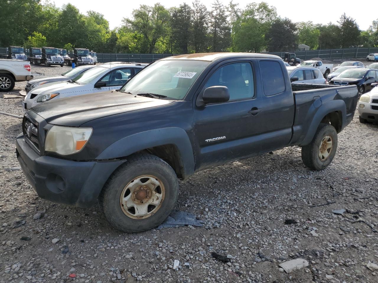 TOYOTA TACOMA ACC 2009