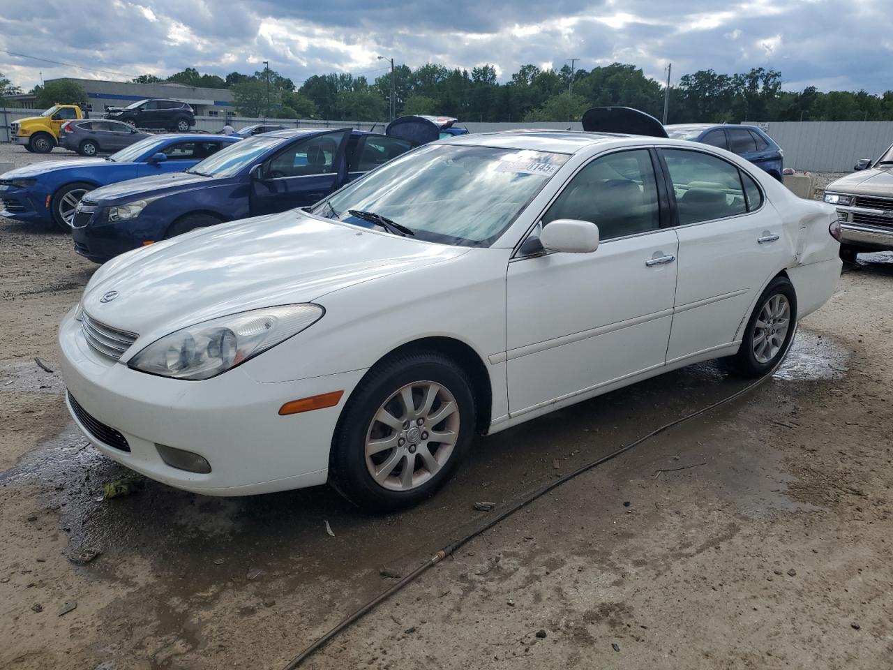 LEXUS ES 300 2003