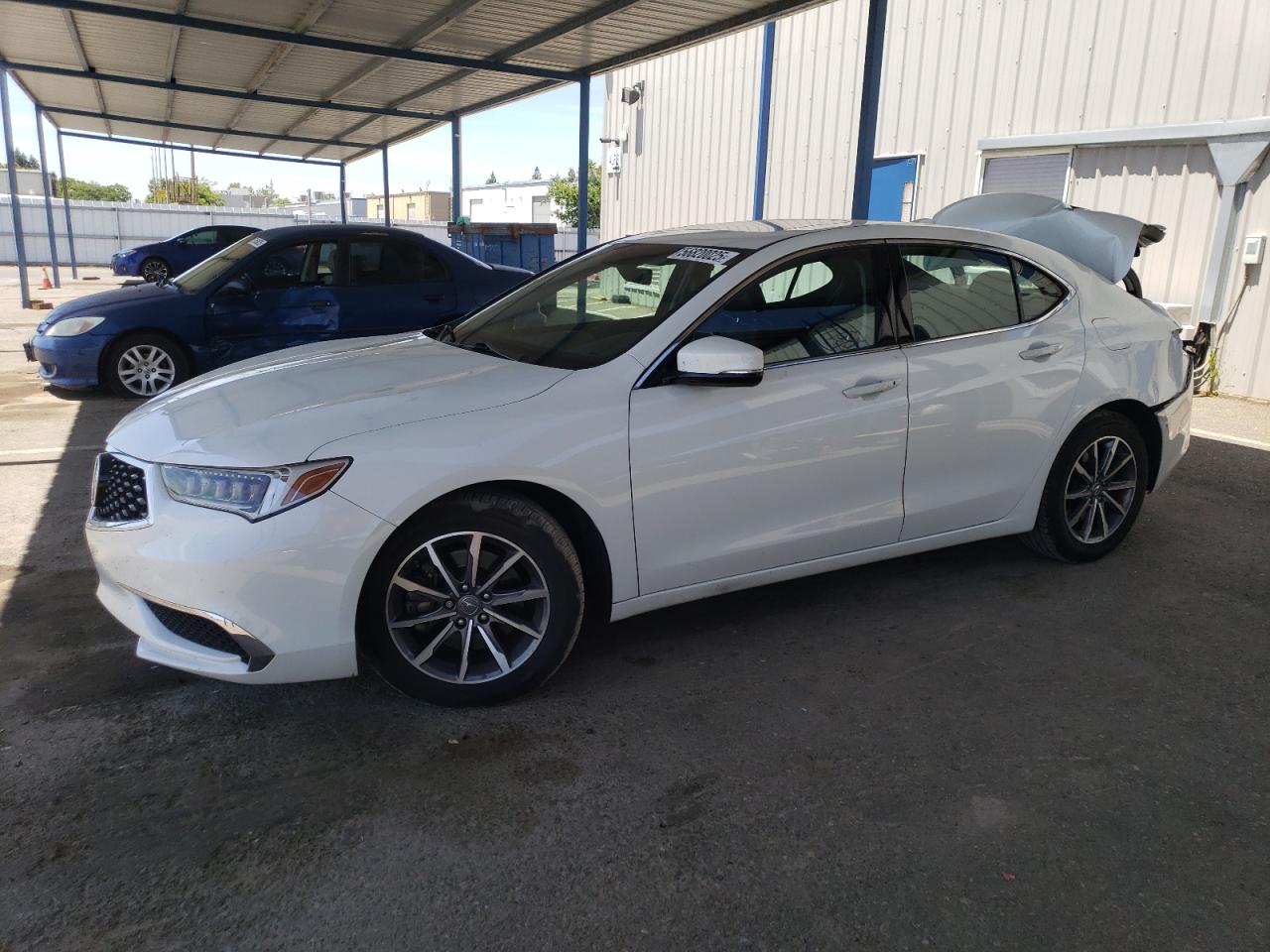 ACURA TLX TECHNO 2020