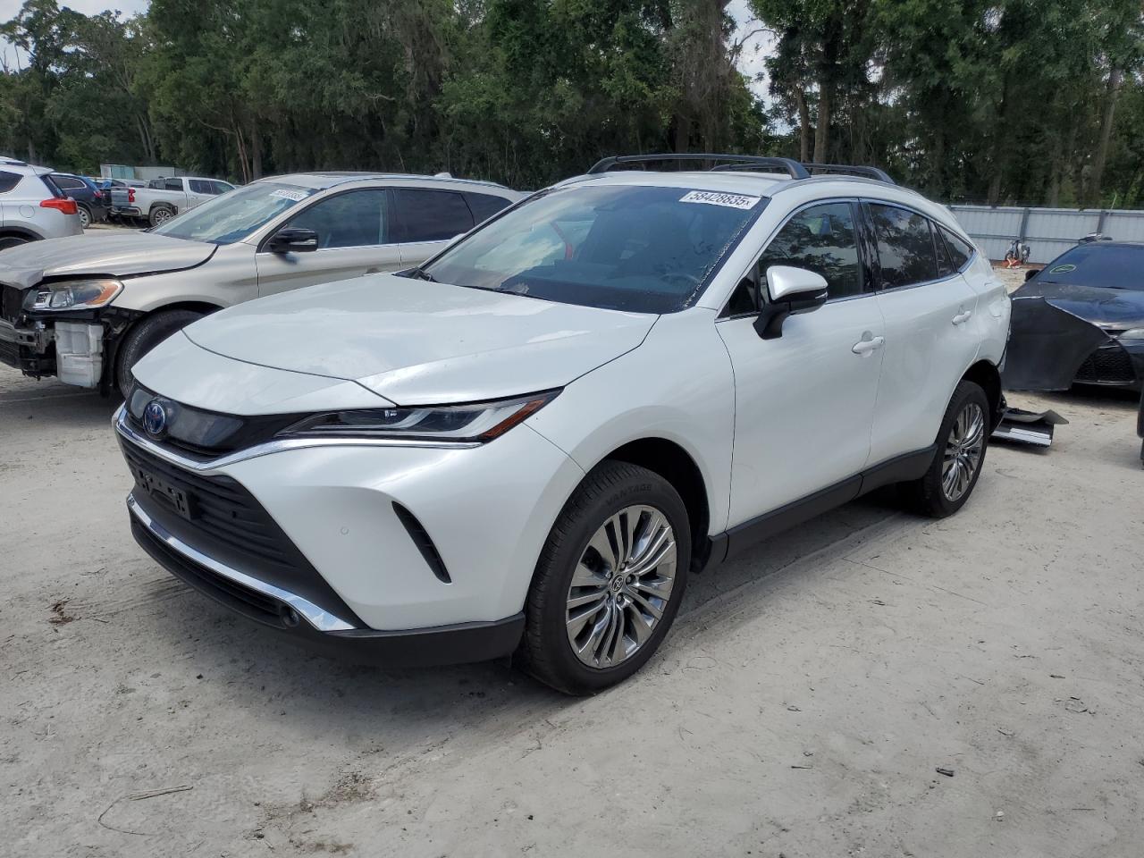 TOYOTA VENZA LE 2023