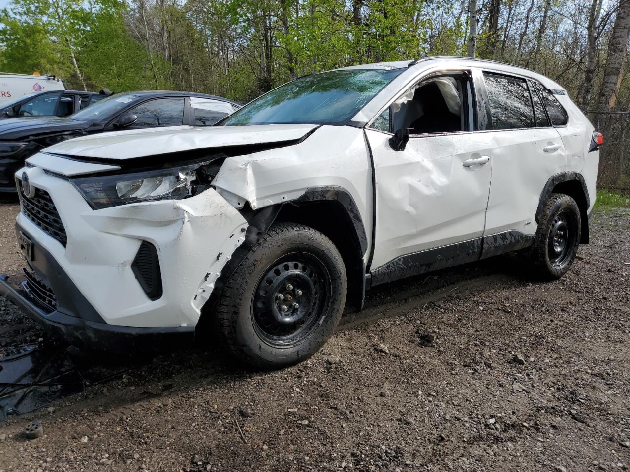 TOYOTA RAV4 LE 2023