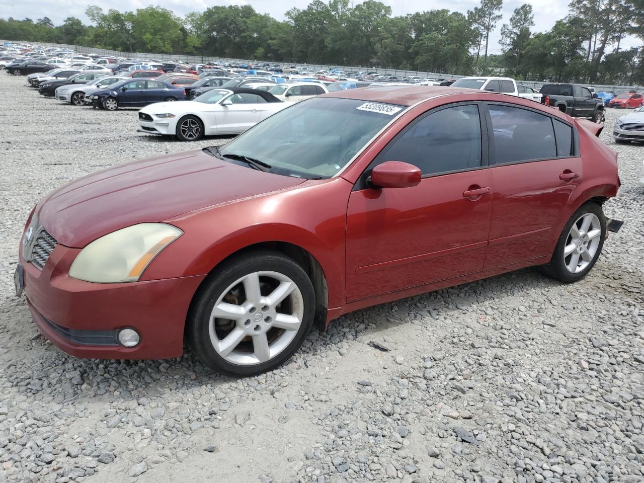 NISSAN MAXIMA 2006