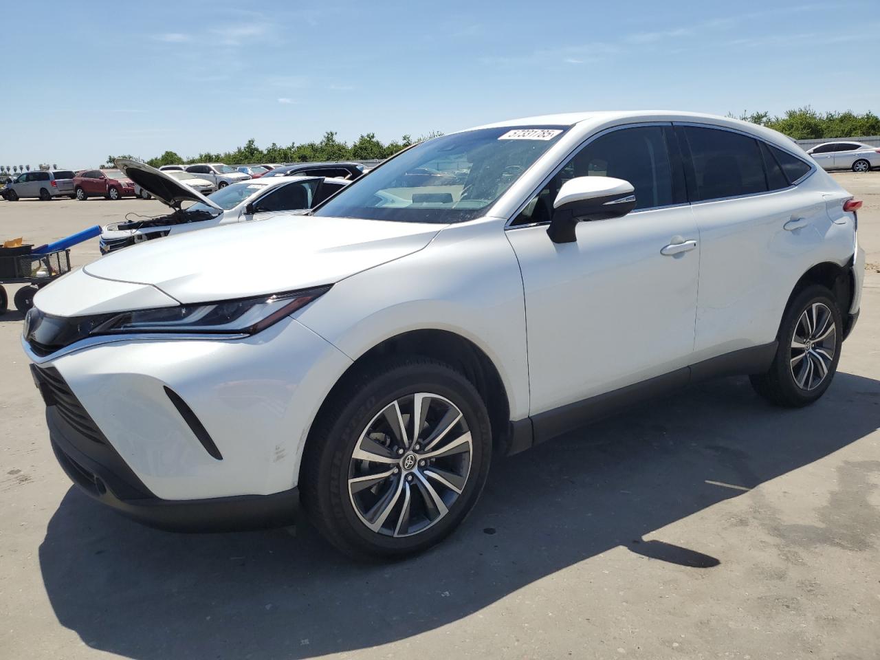 TOYOTA VENZA LE 2024