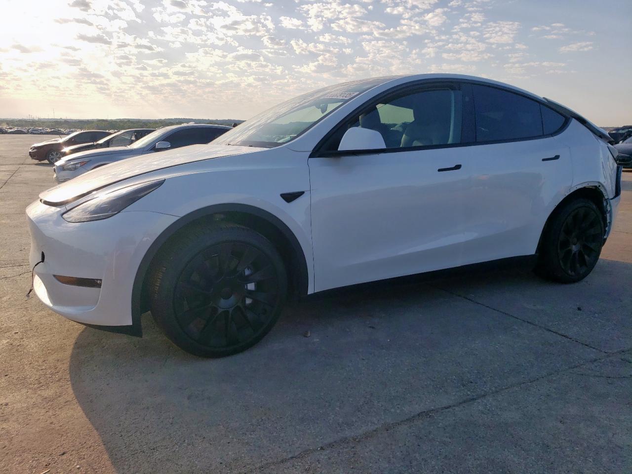 TESLA MODEL Y 2024