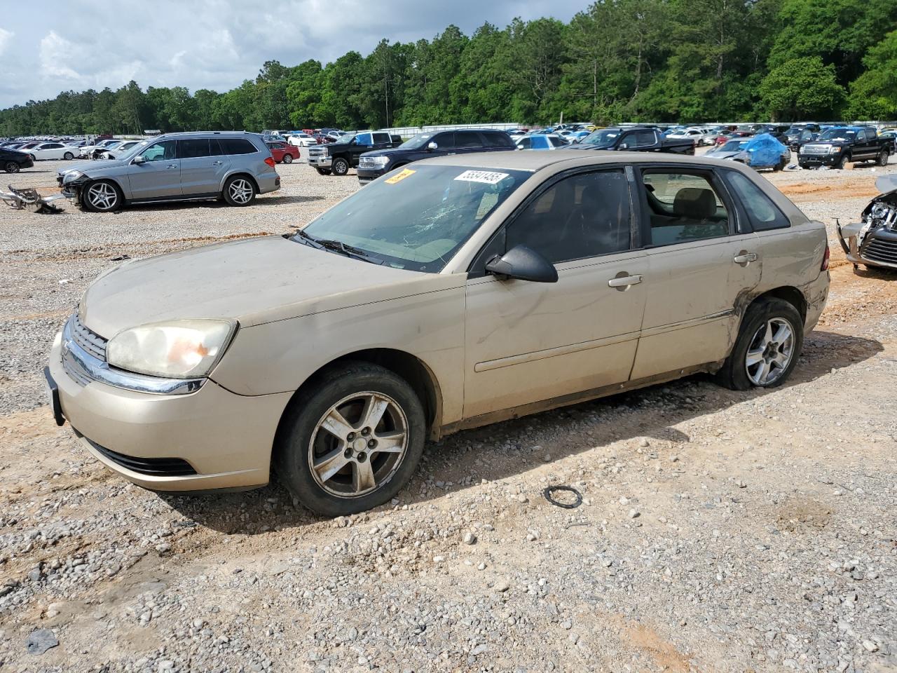 CHEVROLET MALIBU MAX 2005