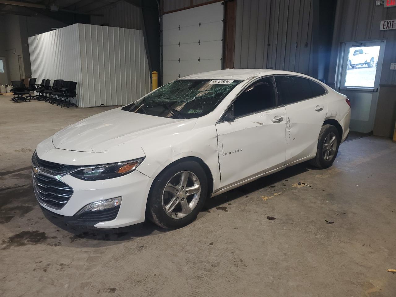 CHEVROLET MALIBU LS 2019