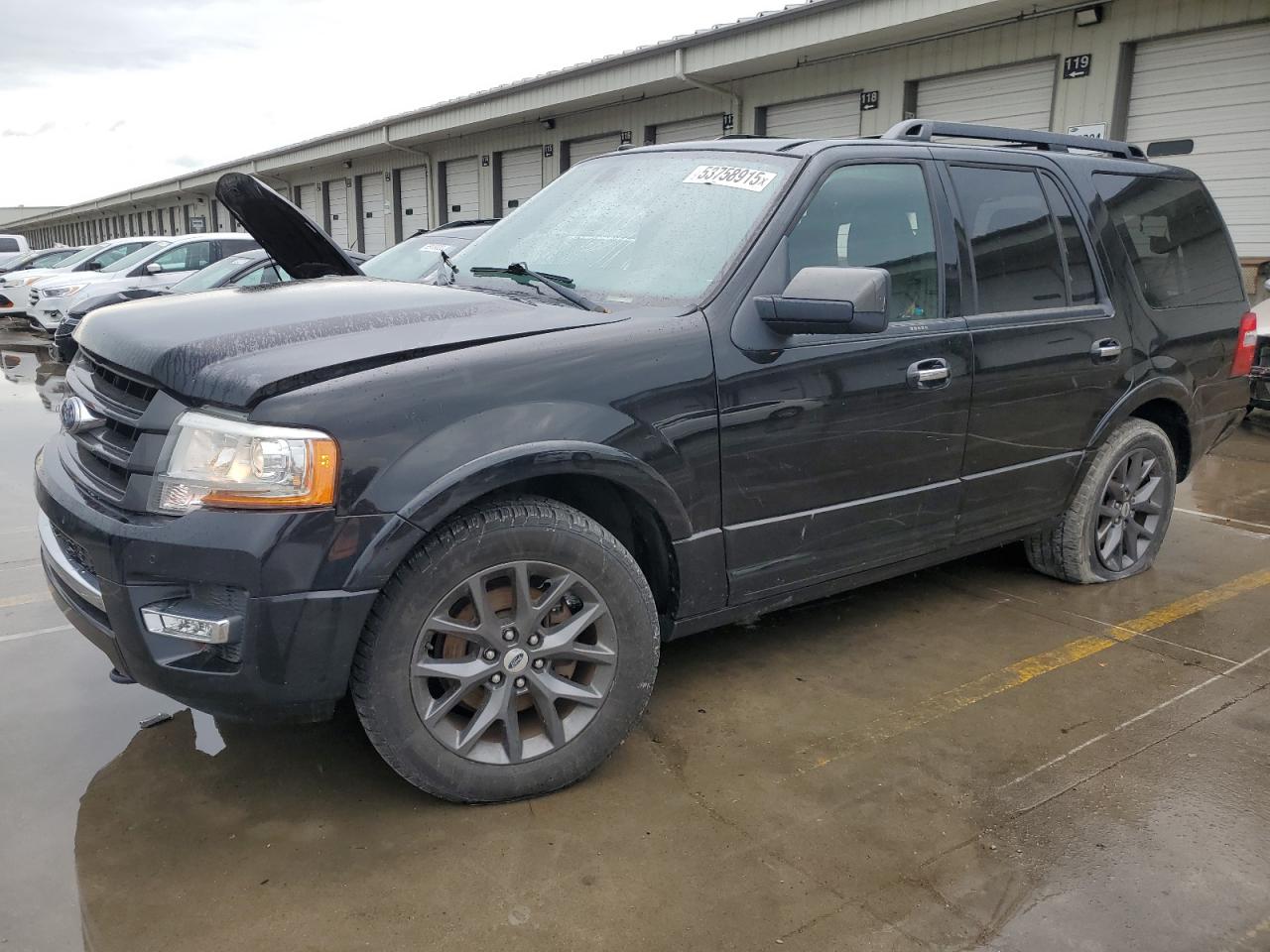 FORD EXPEDITION 2017